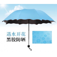 倔强大师遇水开花4节晴雨伞 天蓝色
