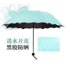 倔强大师遇水开花4节晴雨伞 水绿色