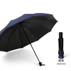 倔强大师半遮素色雨伞 藏蓝