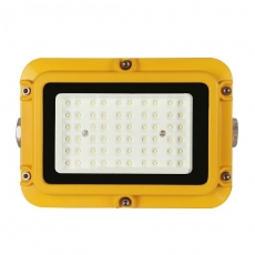 倔强大师ZPB806 LED防爆灯 30W 尺寸：224*160*89mm