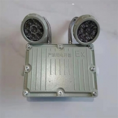 倔强大师ZPB817 防爆应急灯 6W 尺寸：265*210*66mm